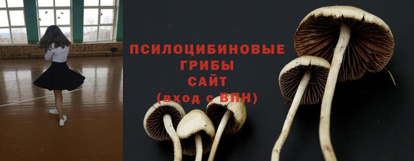 дмт Абдулино