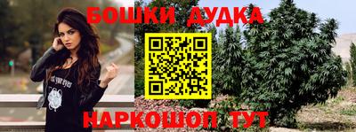 шишки Краснодар
