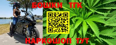 шишки Краснодар