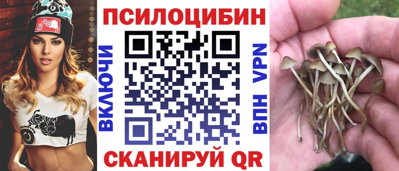 закладка  Златоуст  Псилоцибиновые грибы мухоморы 