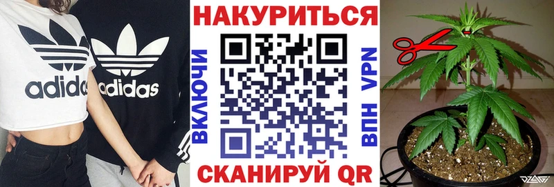 как найти закладки  Златоуст  Марихуана SATIVA & INDICA 